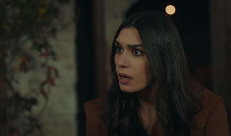 ask-ve-mavi