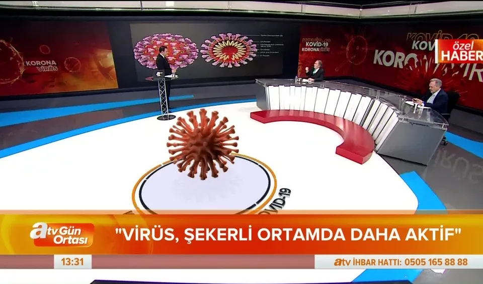 Virüs-savar besinler