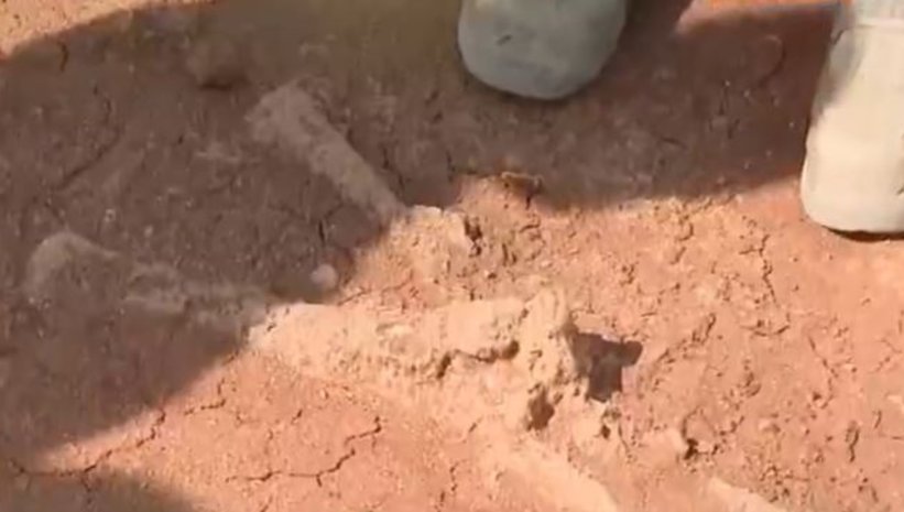 Ankara Da Balina Fosili Iddiasi Videosunu Izle Son Dakika Haberleri