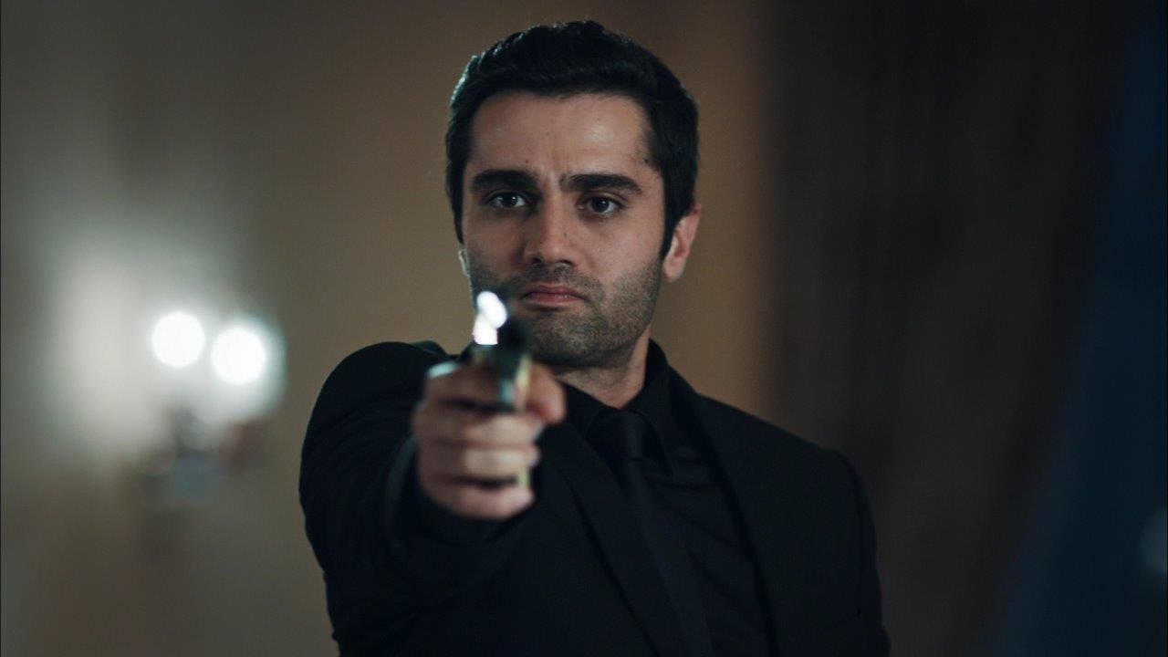 Alpaslan'ın yükselişi