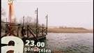 gonulcelen