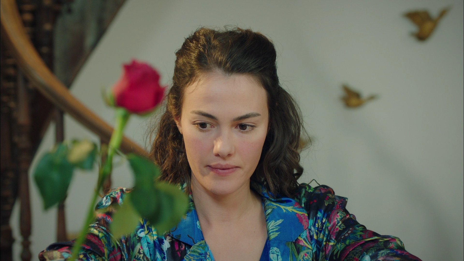 50 karede Gül Masalı...