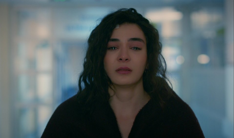 hercai
