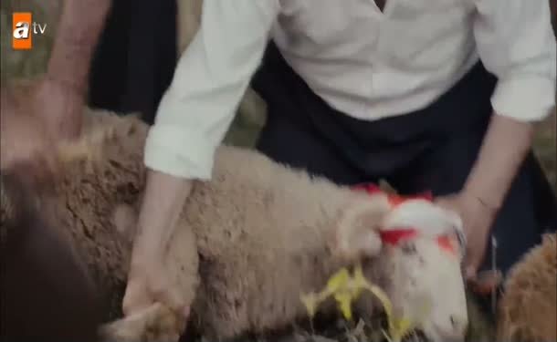 Mahir ailesine kavuşur