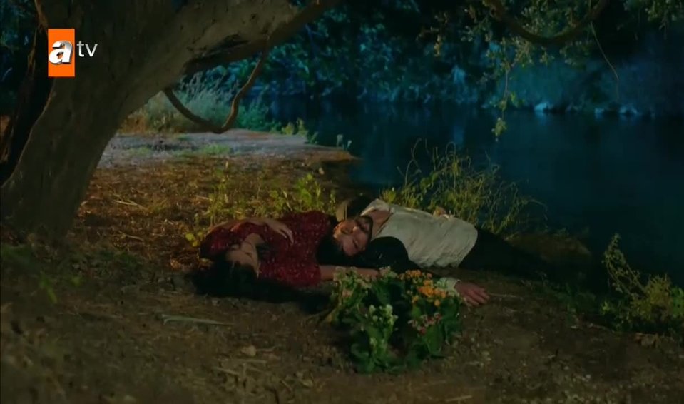 hercai
