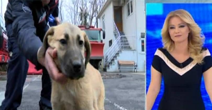 muge-anli-ile-tatli-sert