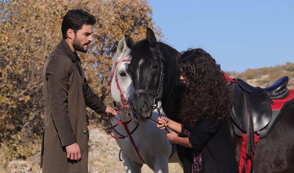 hercai