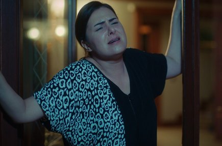 Meral, gerçekleri öğreniyor!