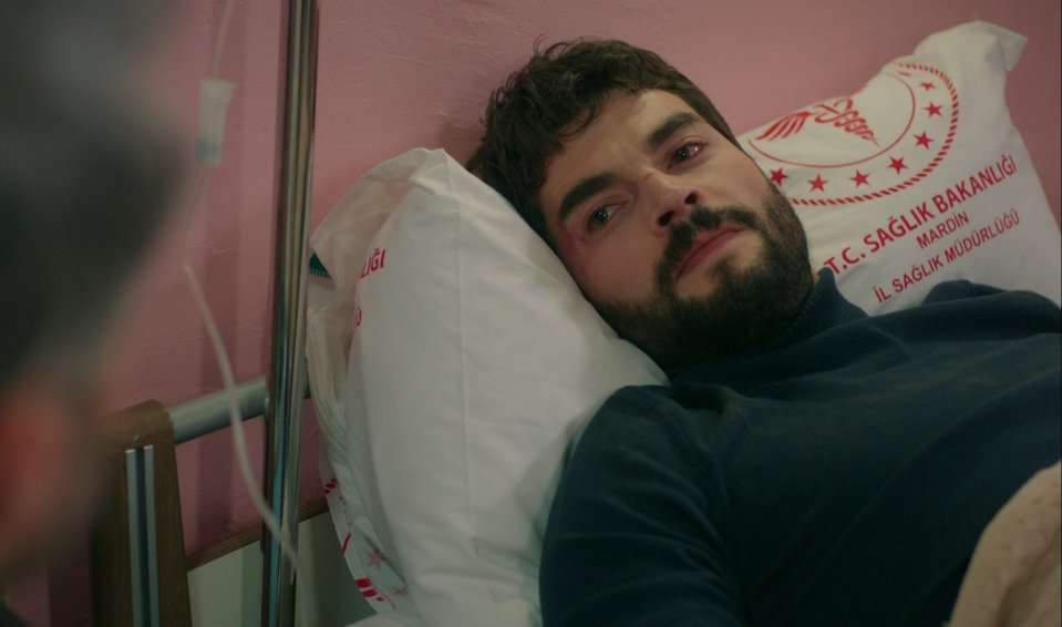 hercai