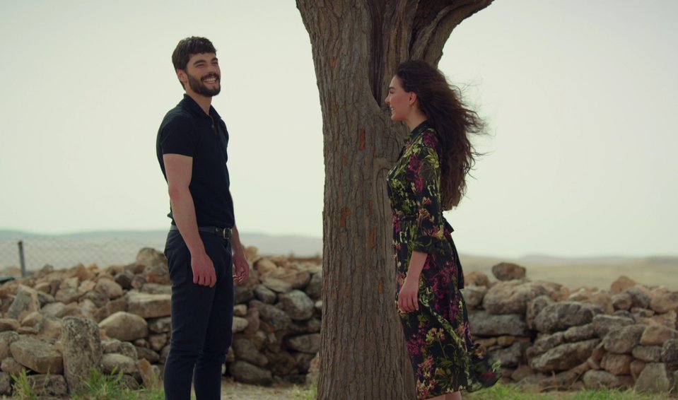 hercai