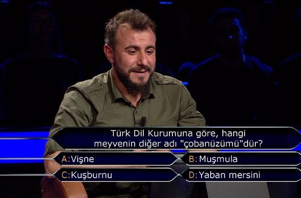 Türk Dil Kurumuna göre, hangi meyvenin diğer adı "çobanüzümü"dür?