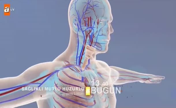 Sağlıklı Mutlu Huzurlu