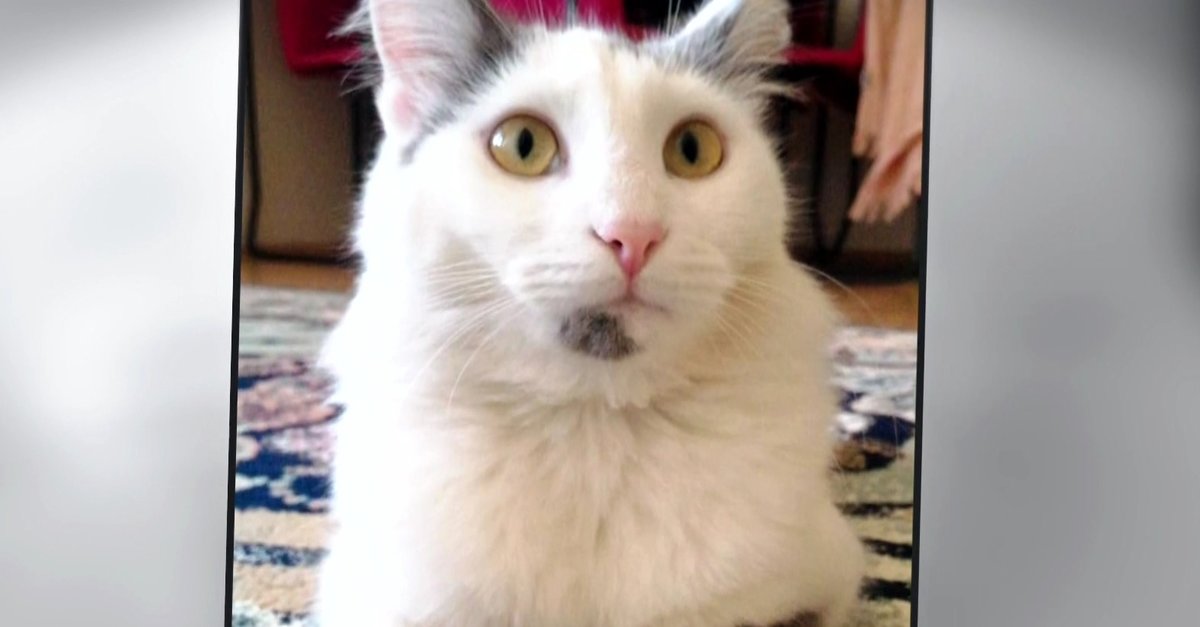 muge-anli-ile-tatli-sert