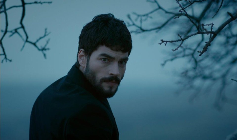 hercai