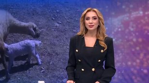 atv Gün Ortası