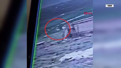 Van’da köpekler 5 yaşındaki çocuğu öldürdü