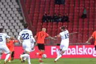 Sırbistan - Hollanda Maç Özeti