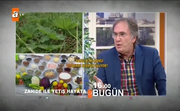 Zahide ile Yetiş Hayata