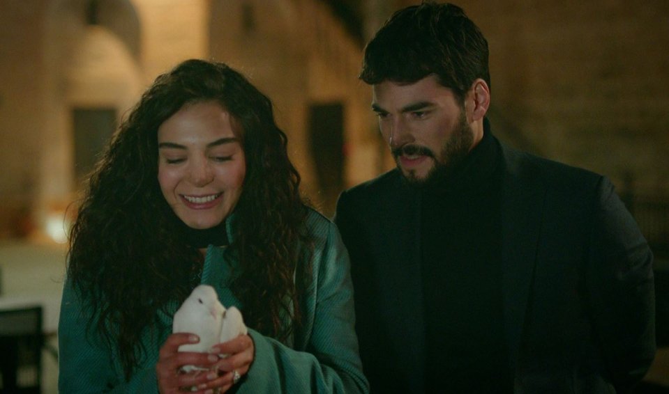 hercai