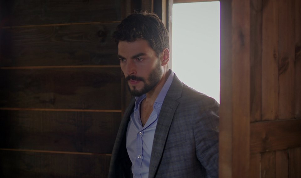 hercai