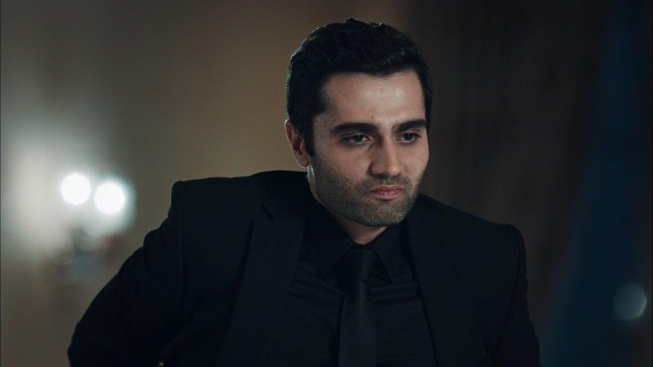 Alpaslan'ın yükselişi