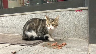Uzmanlardan hastalık uyarısı