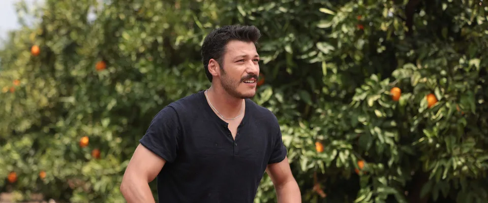 Mercan Köşk'ün Aras'ı Altın Koza'da