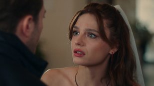 Aynı Yağmur Altında