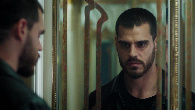 Yalnız Kurt