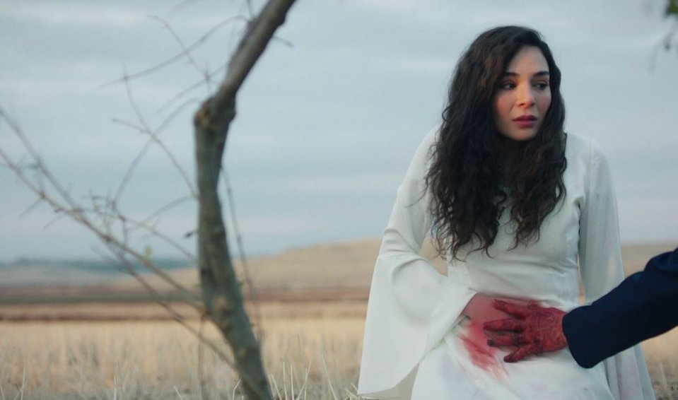 hercai