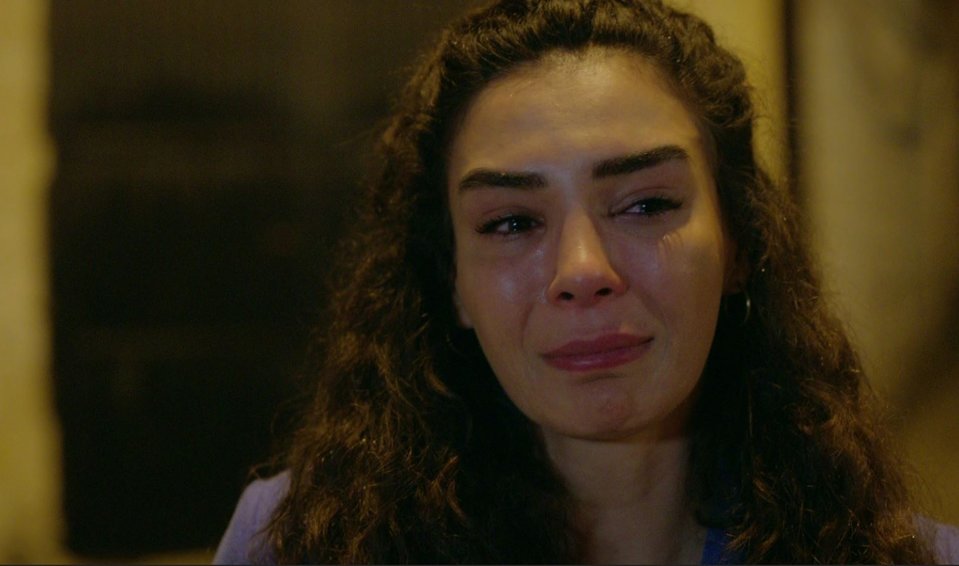 hercai