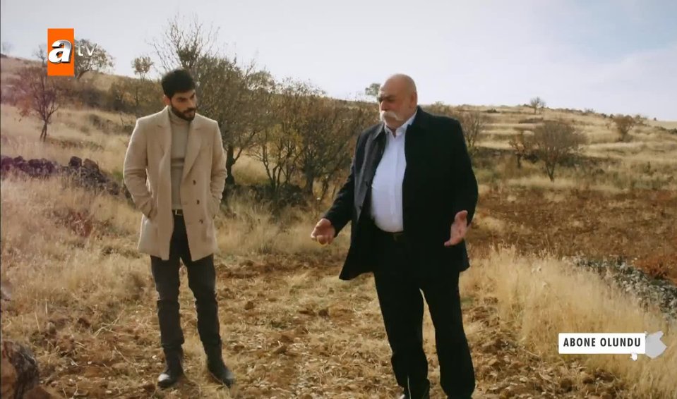 hercai