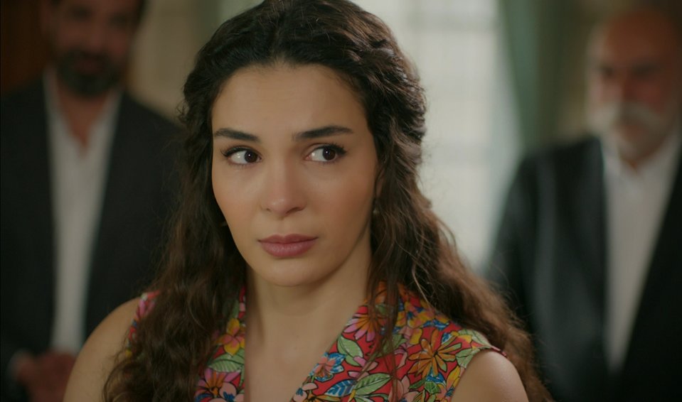hercai
