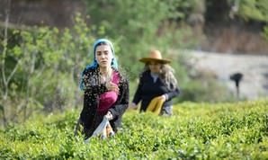 Benim İçin Üzülme