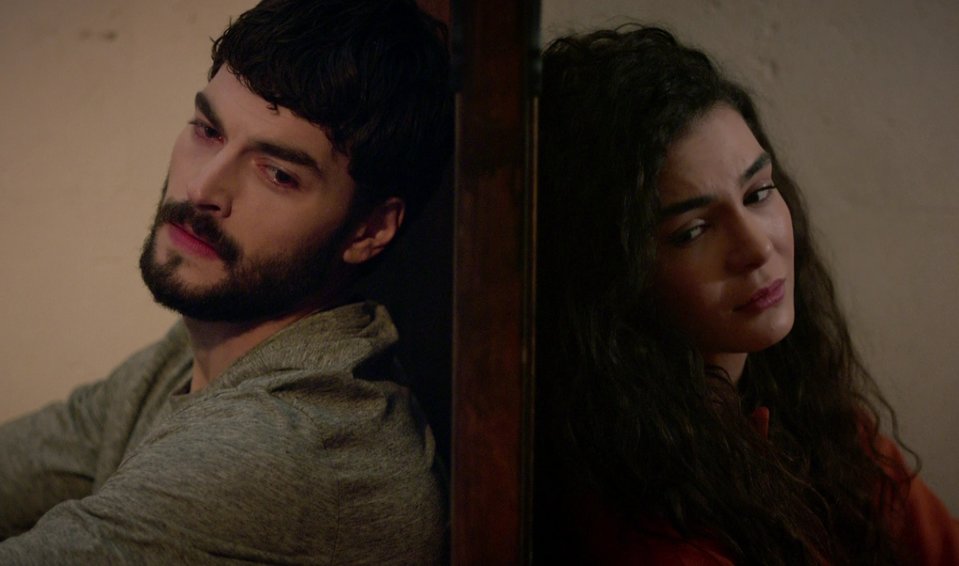 hercai