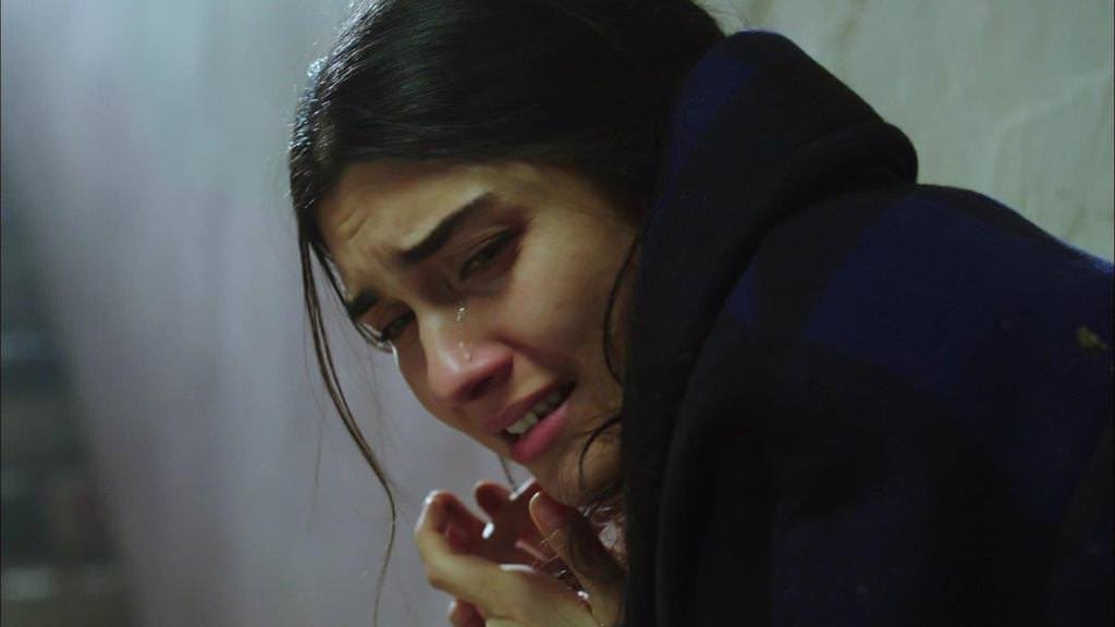 Bugüne kadar neler oldu?