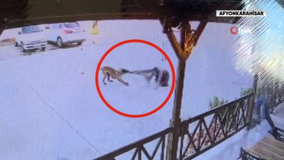 Dinlenme tesisinde dehşet anları