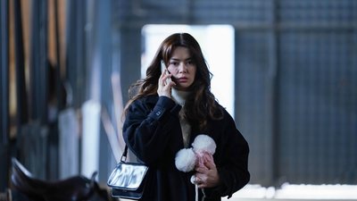 Bir Küçük Gün Işığı