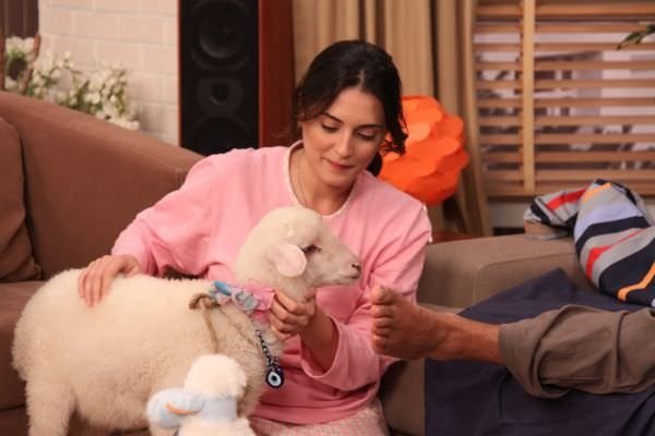 Yahşi Cazibe (Bayram Özel)