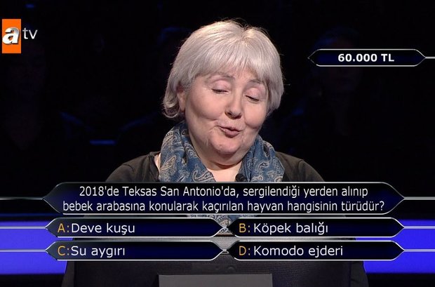 2018’de Teksas San Antonio’da, sergilendiği yerden alınıp bebek arabasına konularak kaçırılan hayvan hangisinin türüdür?