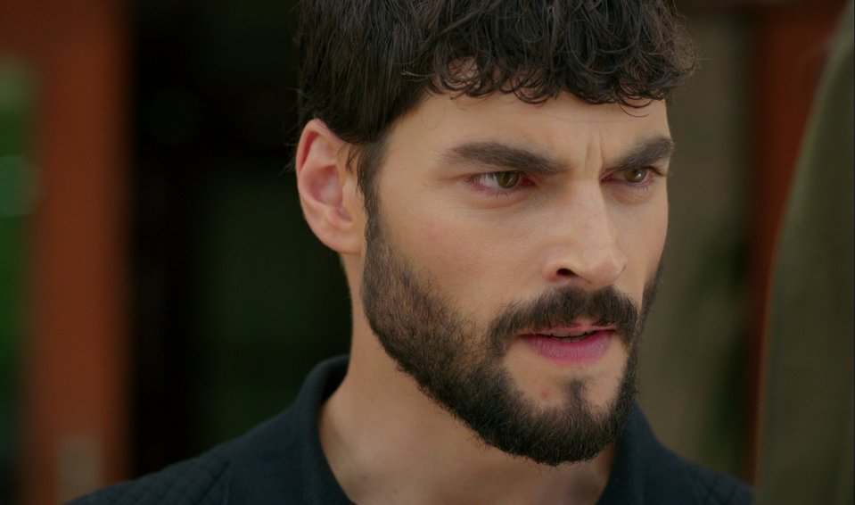 hercai