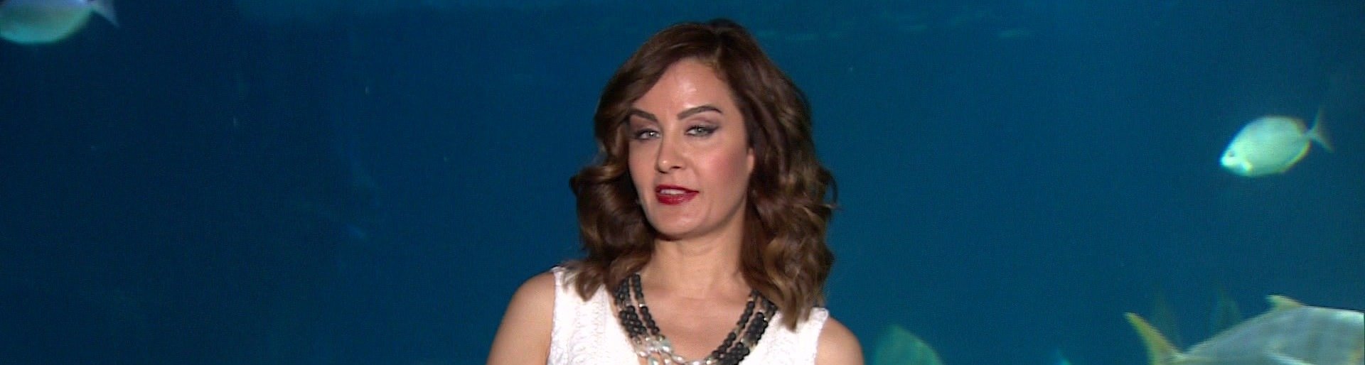 dizi-tv