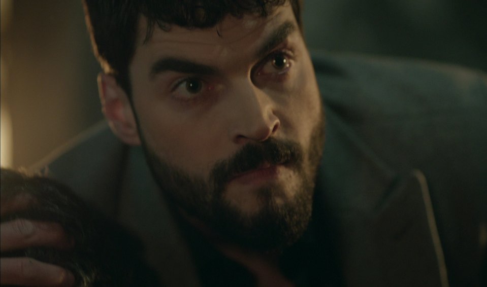 hercai