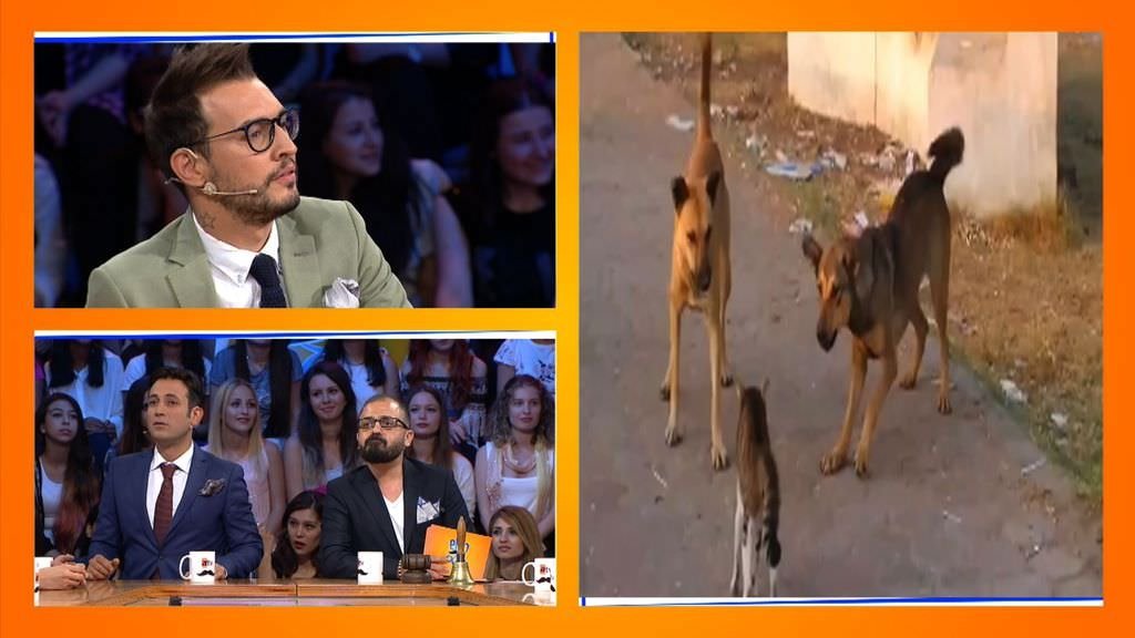 Elin Oğlu 25.bölüm fotogaleri