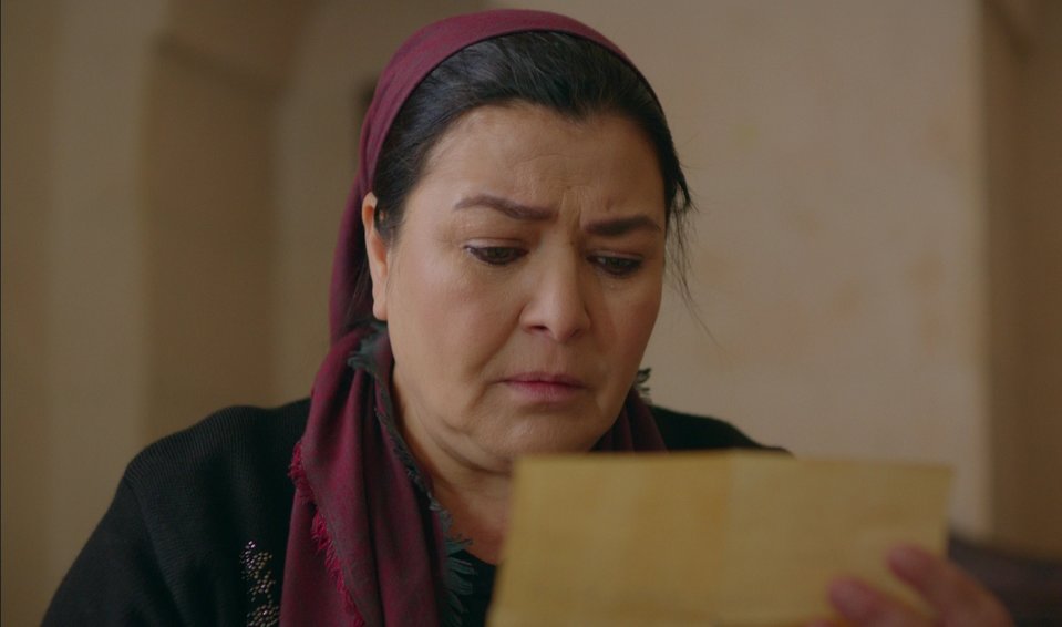 hercai