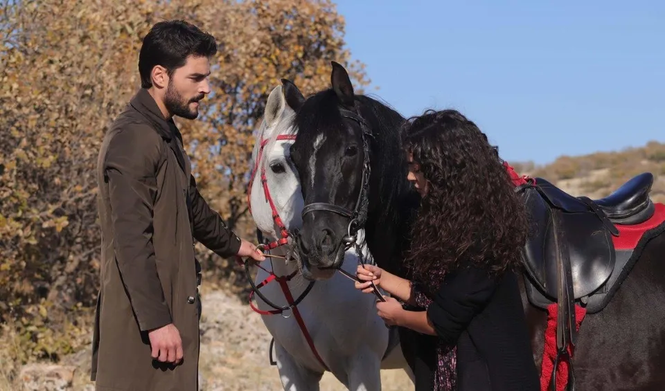 Hercai