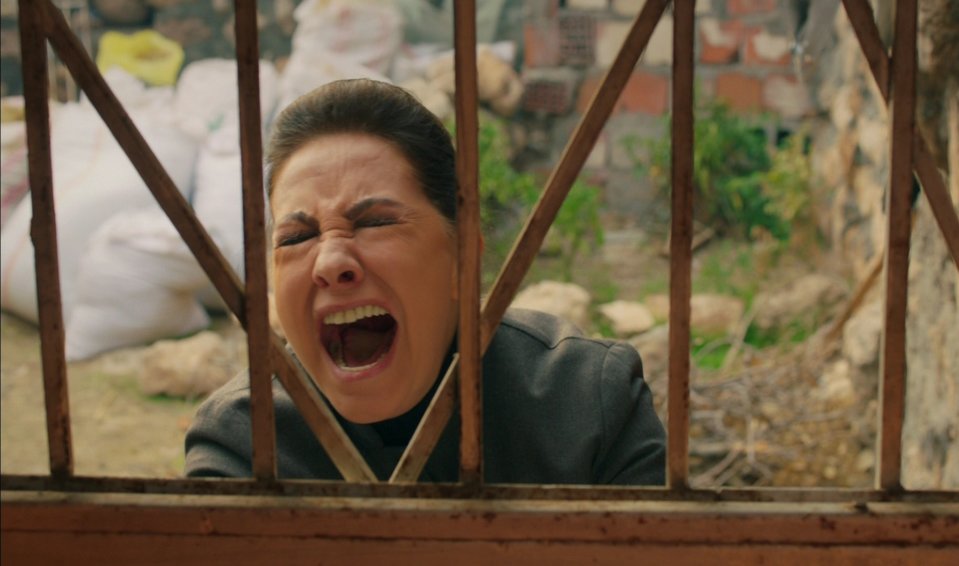 hercai
