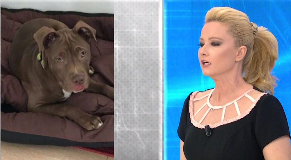 muge-anli-ile-tatli-sert