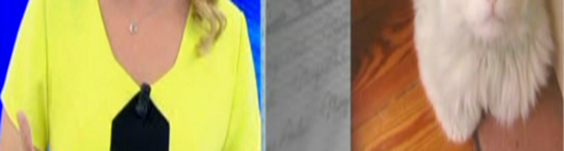 muge-anli-ile-tatli-sert