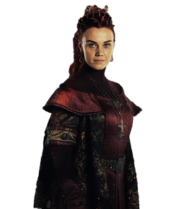 Alma Terziç kimdir? Alma Terziç Biyografisi